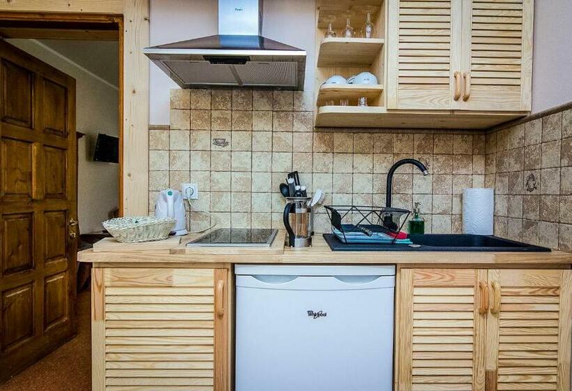 آپارتمان 1 خوابه, Aparthotel Pod Nosalem