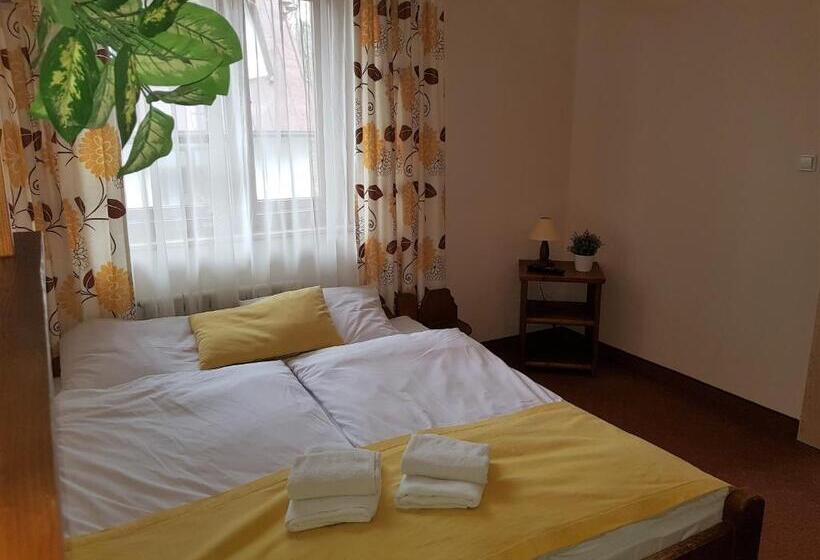 آپارتمان 1 خوابه, Aparthotel Pod Nosalem