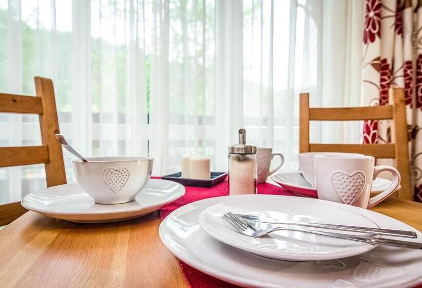 آپارتمان 1 خوابه با بالکن, Aparthotel Pod Nosalem