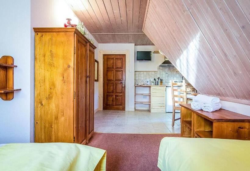 آپارتمان 1 خوابه با بالکن, Aparthotel Pod Nosalem