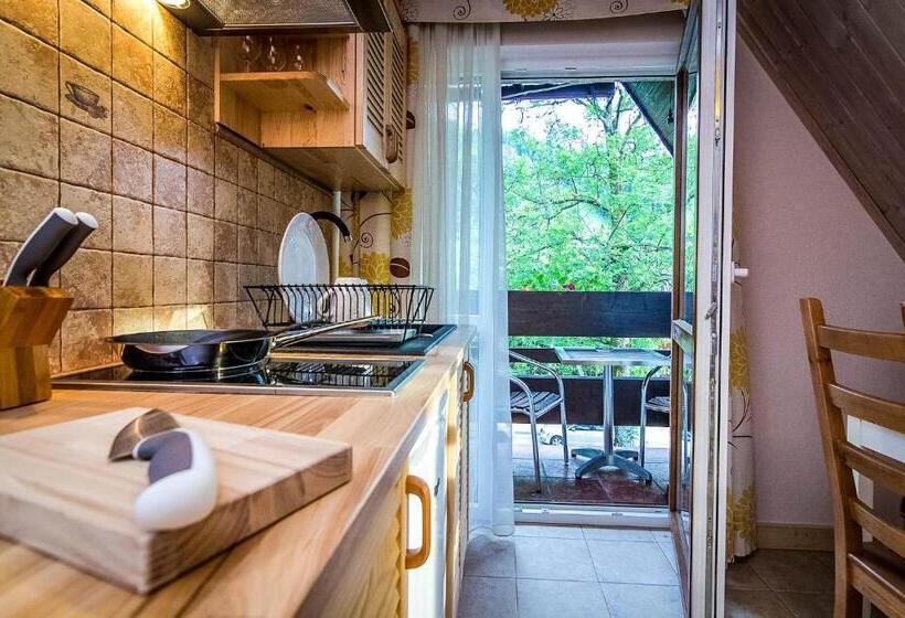 آپارتمان 1 خوابه با بالکن, Aparthotel Pod Nosalem
