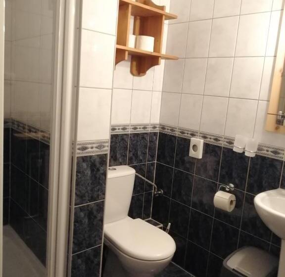 اتاق استاندارد, Aparthotel Pod Nosalem