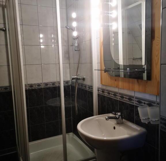 اتاق استاندارد, Aparthotel Pod Nosalem