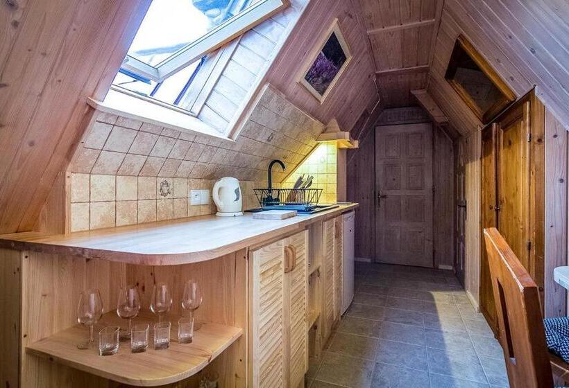 آپارتمان 1 خوابه, Aparthotel Pod Nosalem