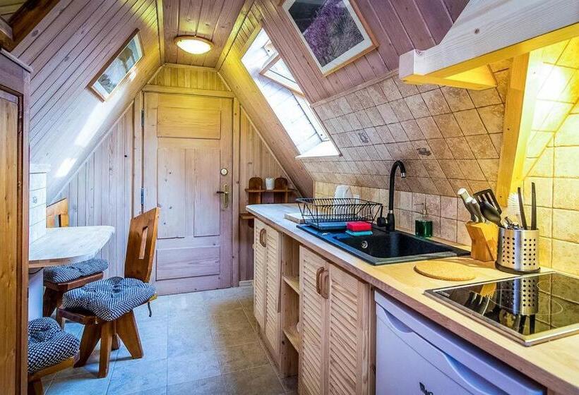 آپارتمان 1 خوابه, Aparthotel Pod Nosalem