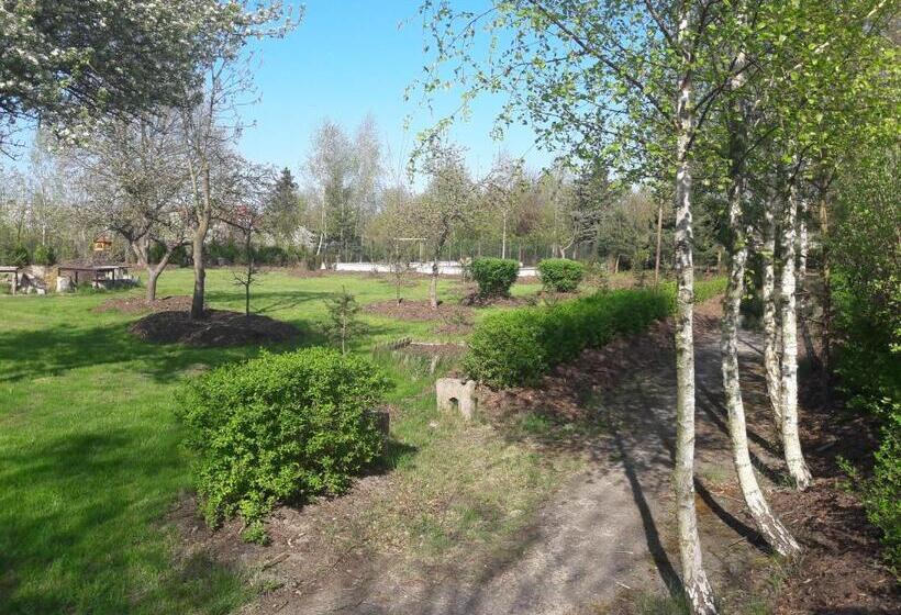 اتاق سوپریور چهار تخته, Centrum Konferencyjne Brancon