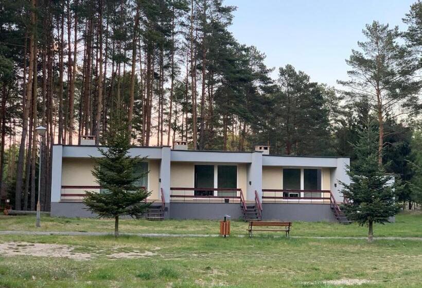 بانگلوی لوکس, Zacisze,pl Domki Premium I Bungalowy Deluxe Nad Jeziorem łagowskim