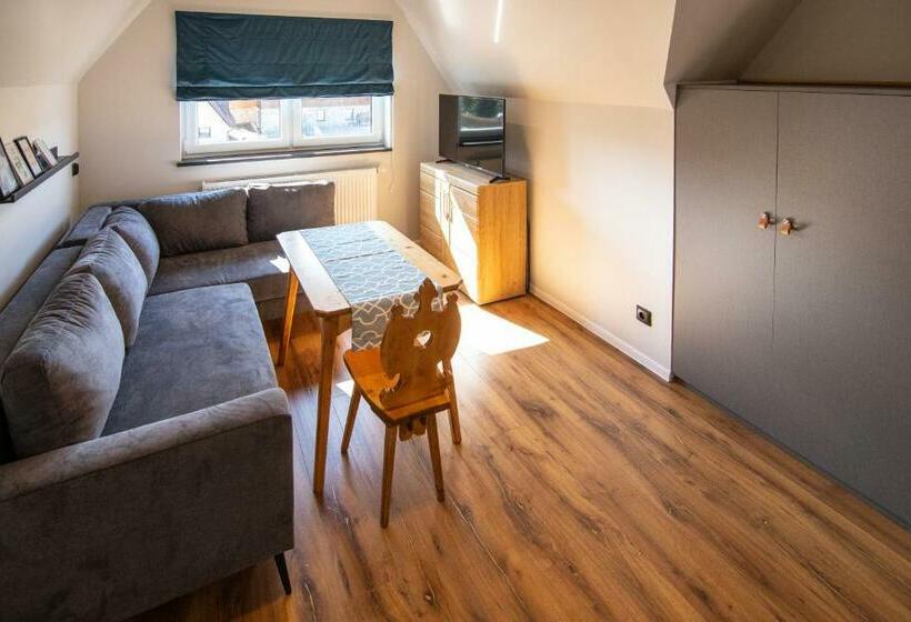آپارتمان لوکس 1 خوابه, 5 Wierchów Apartamenty