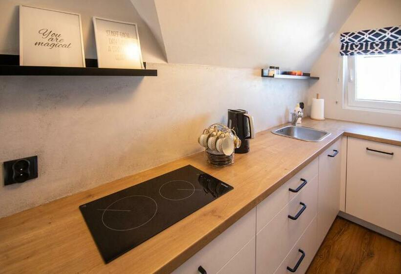 آپارتمان لوکس 1 خوابه, 5 Wierchów Apartamenty