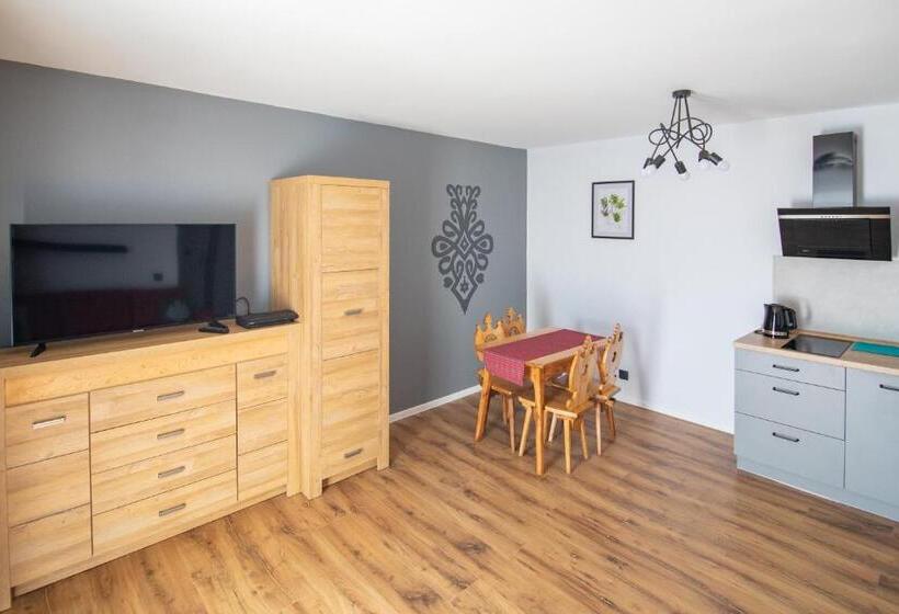 آپارتمان 1 خوابه با تراس, 5 Wierchów Apartamenty