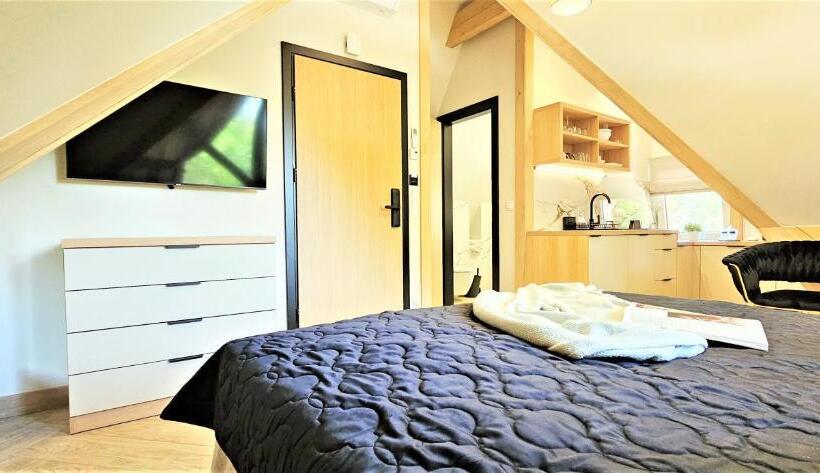 استودیوی استاندارد, Vip Apartamenty Chałubińskiego Apart