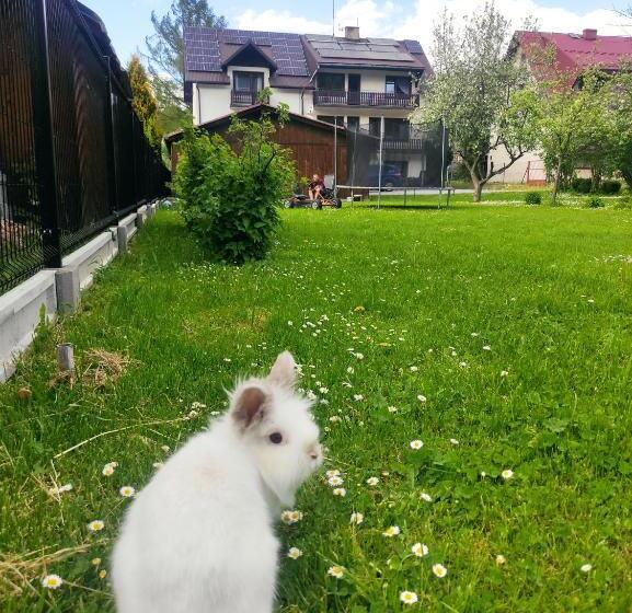 سوئیت با وان آب گرم, Pokoje I Apartamenty U Sabiny   Apartament I Domek Z Jacuzzi Na Wyłączność   Pozostałe Pokoje Bez Ja