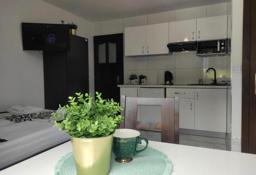 استودیو استاندارد با بالکن, Pokoje I Apartamenty U Sabiny   Apartament I Domek Z Jacuzzi Na Wyłączność   Pozostałe Pokoje Bez Ja
