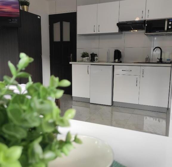 استودیو استاندارد با بالکن, Pokoje I Apartamenty U Sabiny   Apartament I Domek Z Jacuzzi Na Wyłączność   Pozostałe Pokoje Bez Ja