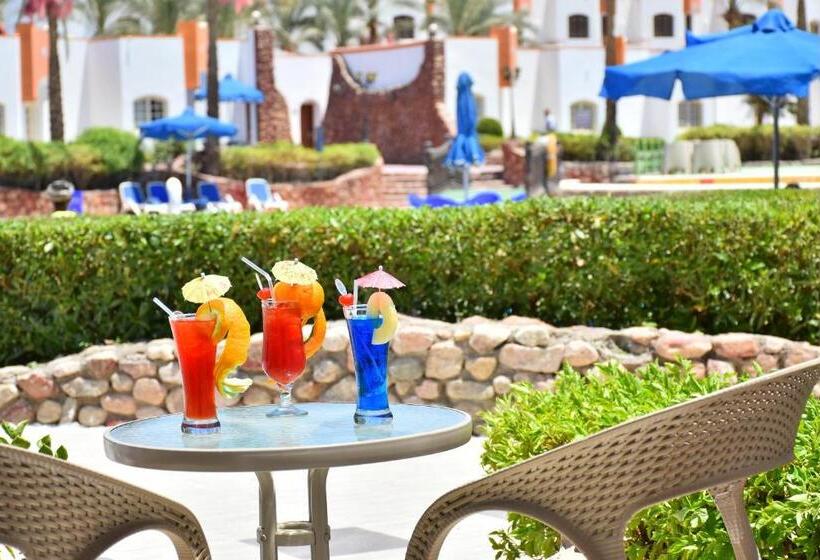 اتاق لوکس یک تخته, Gafy Resort Aqua Park