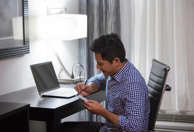 اتاق استاندارد, Holiday Inn Express New Delhi International Airport T3, An Ihg