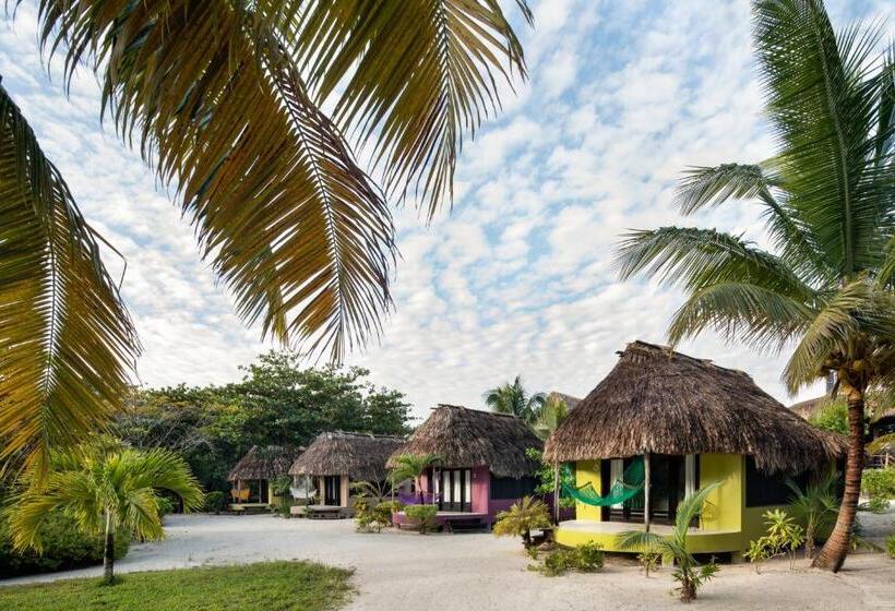 Standard Room King Size Bed, Matachica Beach Resort And Spa