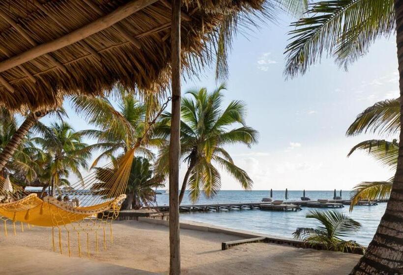 اتاق استاندارد با تخت بزرگ, Matachica Beach Resort And Spa