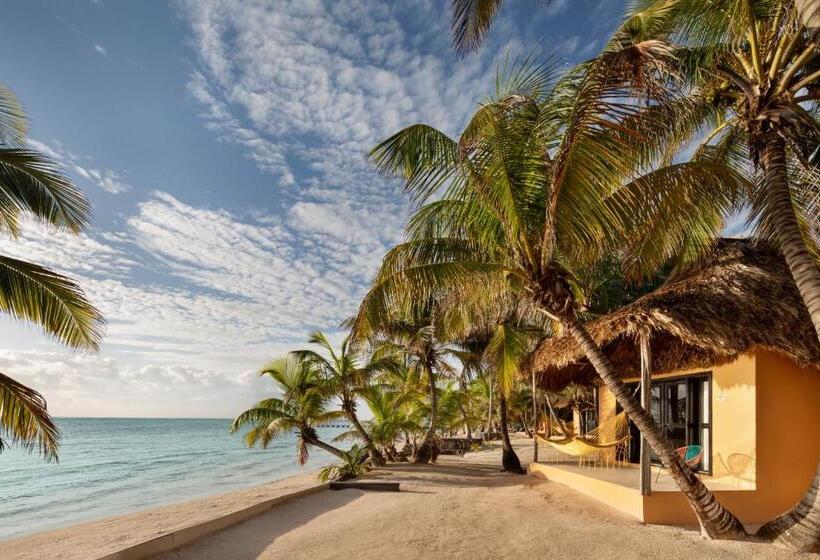 اتاق استاندارد با تخت بزرگ, Matachica Beach Resort And Spa