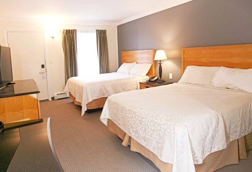 اتاق استاندارد با 2 تخت دوبل, Moonlight Inn