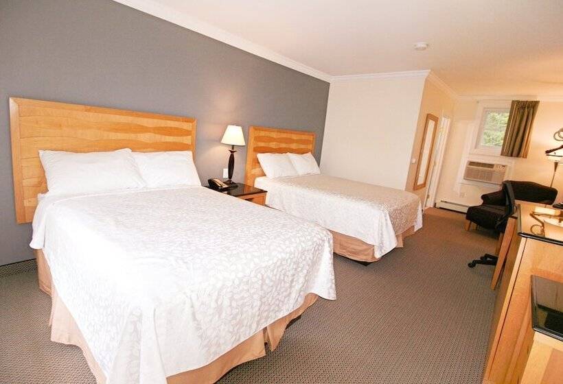 اتاق استاندارد با 2 تخت دوبل, Moonlight Inn