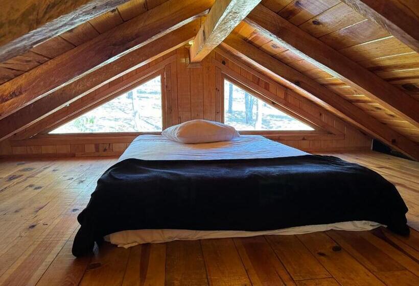 سوییت جونیور, Pine Tree Mazamitla Hotel Boutique & Cabañas
