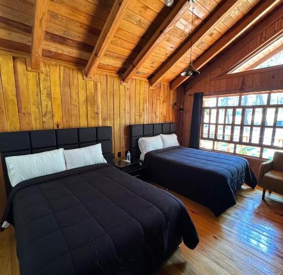 سوییت خانوادگی, Pine Tree Mazamitla Hotel Boutique & Cabañas