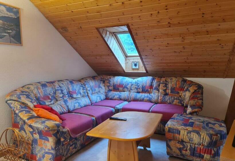 标准间, Dachwohnung In Welschenrohr
