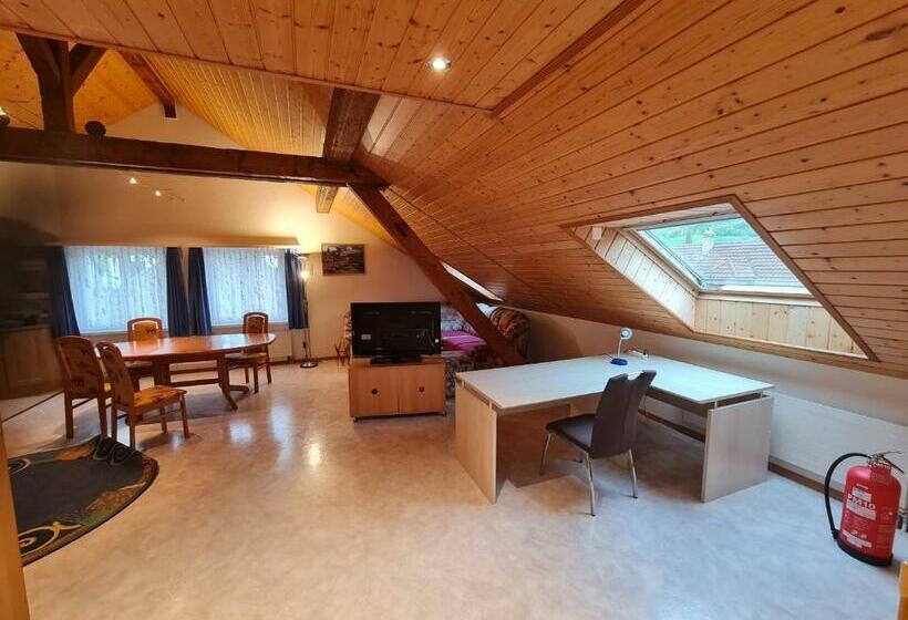 标准间, Dachwohnung In Welschenrohr