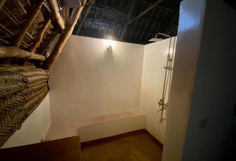 اتاق لوکس با بالکن, Zuzanu House