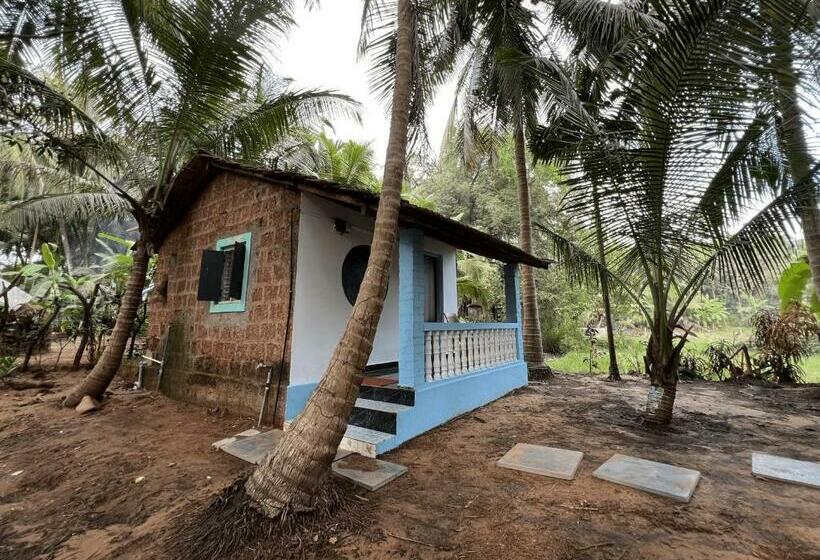 اتاق استاندارد اینتریور, Hostelexp, Gokarna   A Slow Paced Backpackers Community