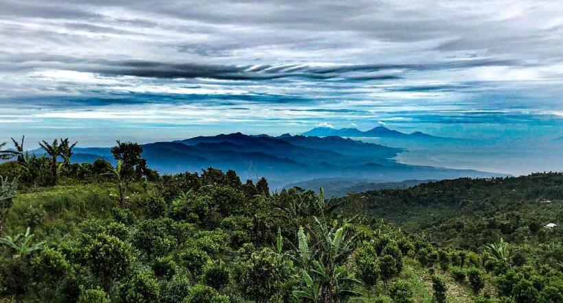 اتاق استاندارد با چشم‌انداز استخر, Shankara Munduk Bali