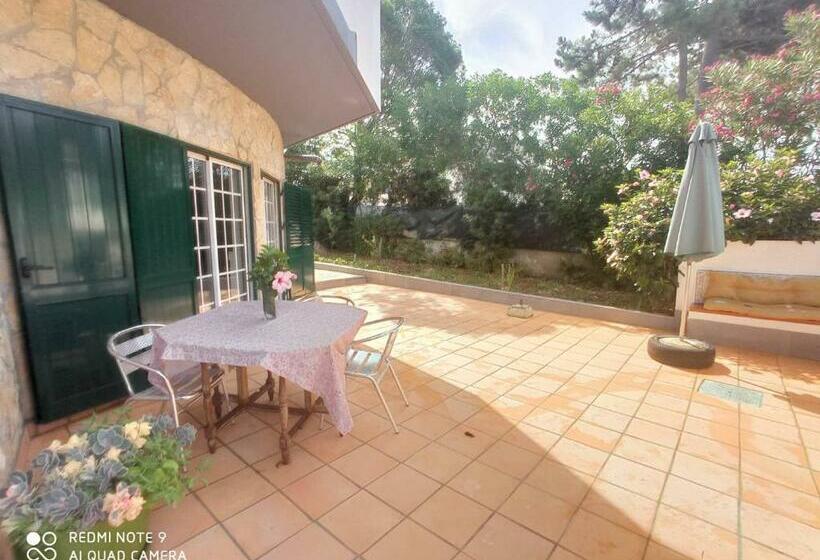 اتاق استاندارد, Surf & Beach House