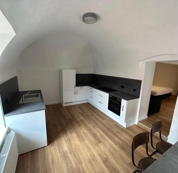 آپارتمان 1 خوابه, Hopfenhotel Am Adenauerufer