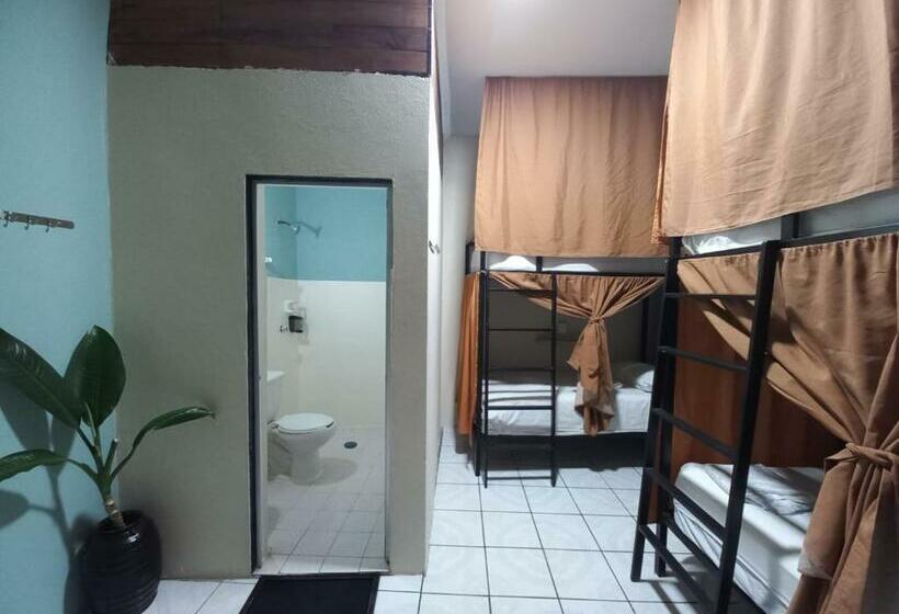 Lit en Chambre Commune, El Coyote