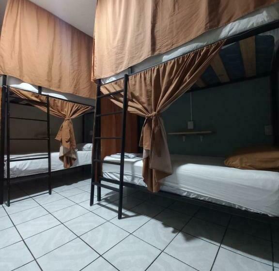 Lit en Chambre Commune, El Coyote