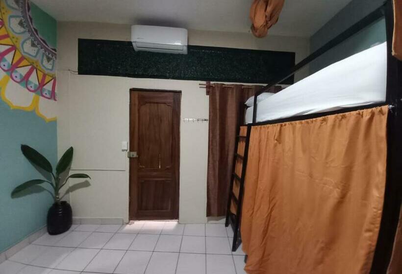Lit en Chambre Commune, El Coyote