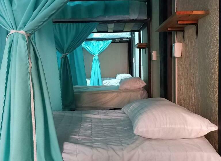 Lit en Chambre Commune, El Coyote