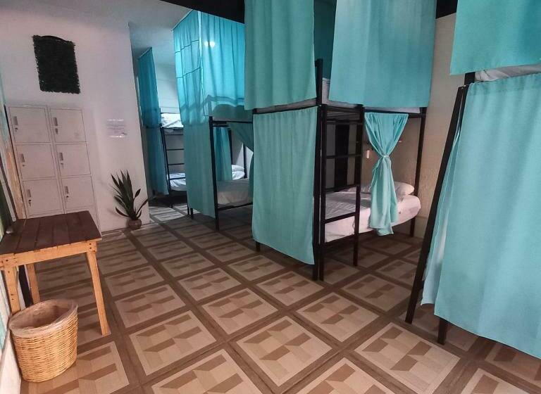 Lit en Chambre Commune, El Coyote