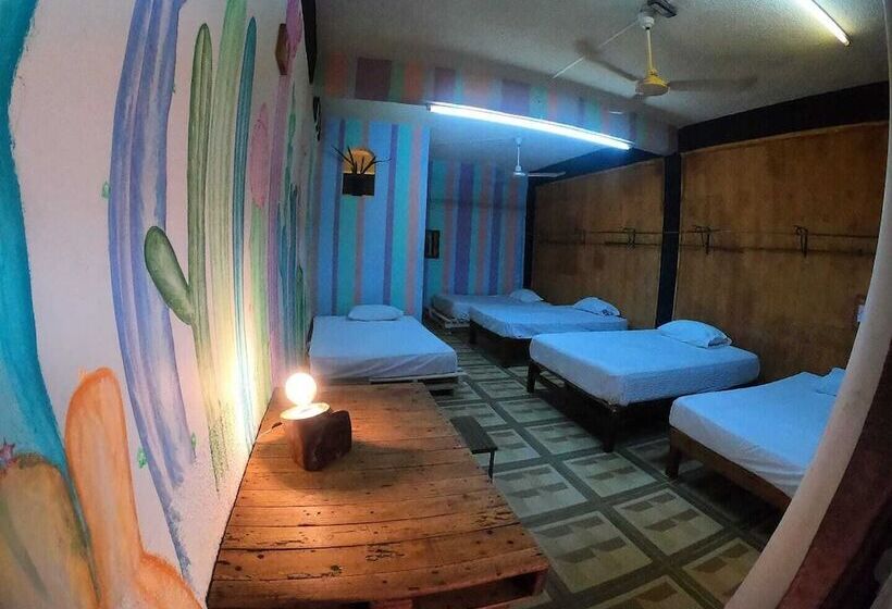 Lit en Chambre Commune, El Coyote