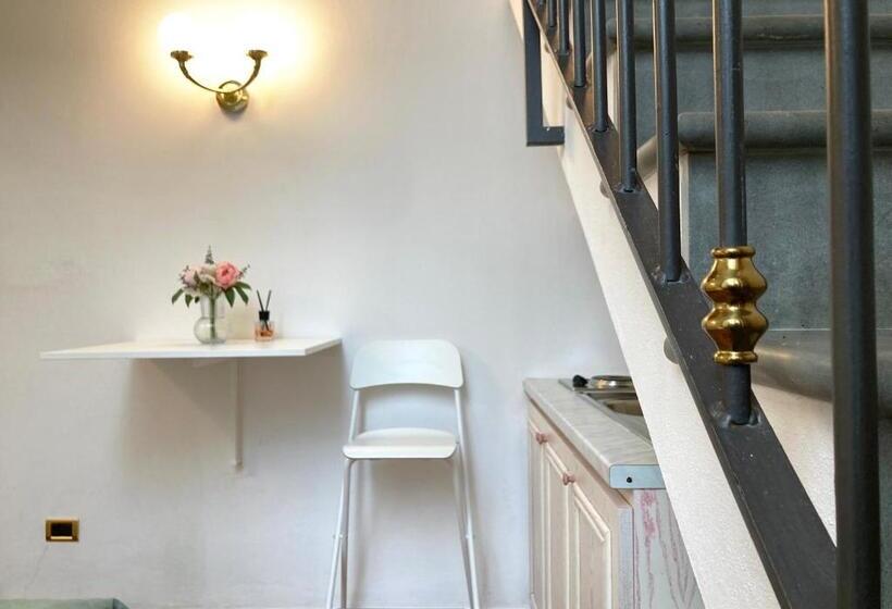 استودیوی استاندارد, Fantastic Garden   Firenze Nord