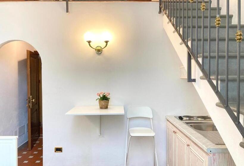 استودیوی استاندارد, Fantastic Garden   Firenze Nord