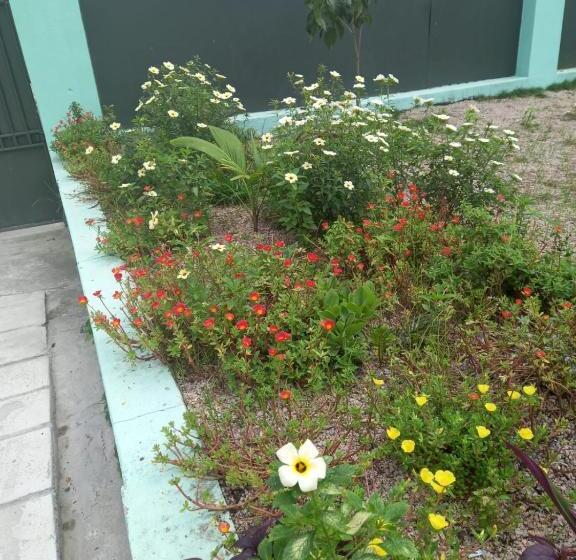 اتاق اکونومی, Jardim Paraíso