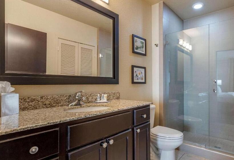 سوییت, Comfort Inn Bentonville  Crystal Bridges