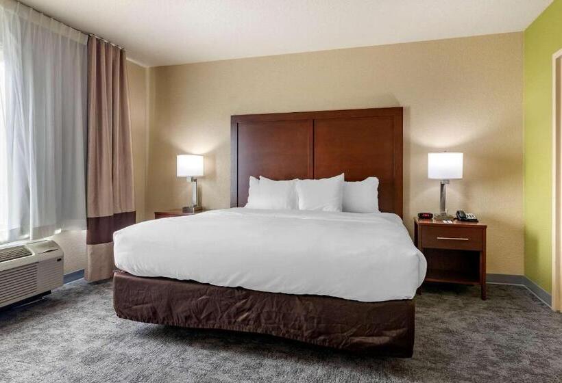 스탠다드 룸 킹사이즈 침대, Comfort Inn Bentonville  Crystal Bridges