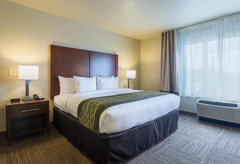 스탠다드 룸 킹사이즈 침대, Comfort Inn Bentonville  Crystal Bridges