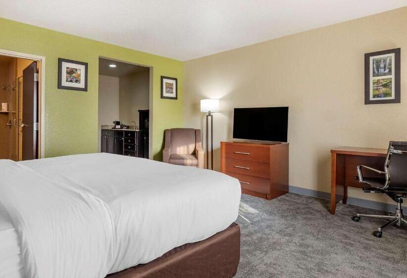 스위트 킹사이즈 침대, Comfort Inn Bentonville  Crystal Bridges