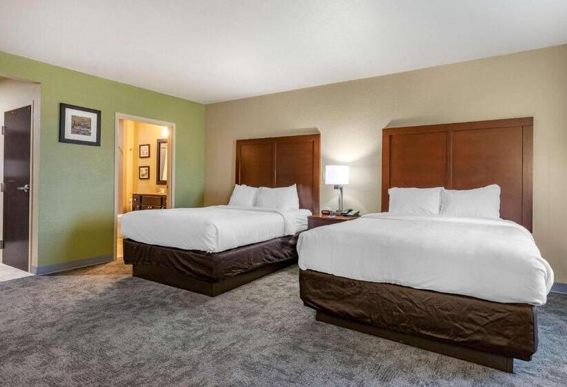 غرفة قياسية سرير ملكى لذوى الإحتياجات الخاصة, Comfort Inn Bentonville  Crystal Bridges