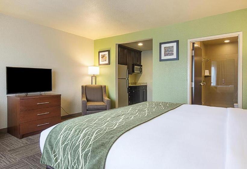 장애인을 위한 킹사이즈 침대 스탠다드 룸, Comfort Inn Bentonville  Crystal Bridges