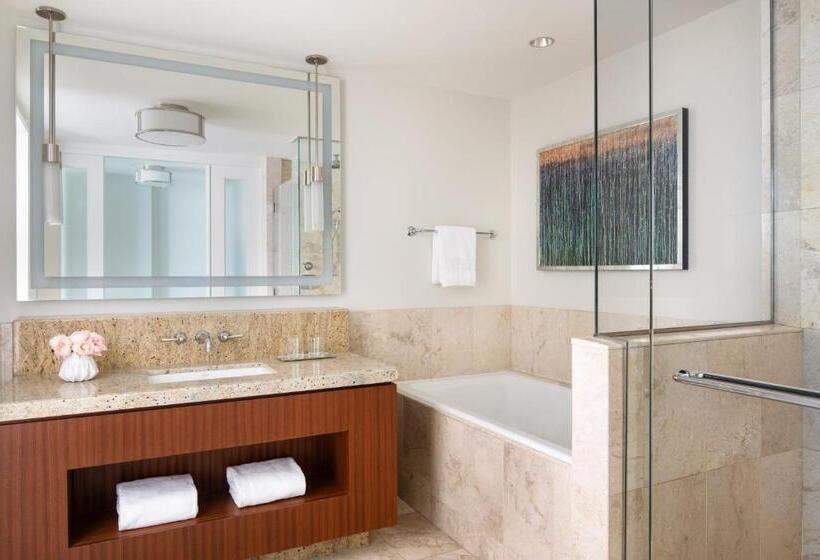 اتاق استاندارد با چشم‌انداز شهر, Four Seasons  St Louis